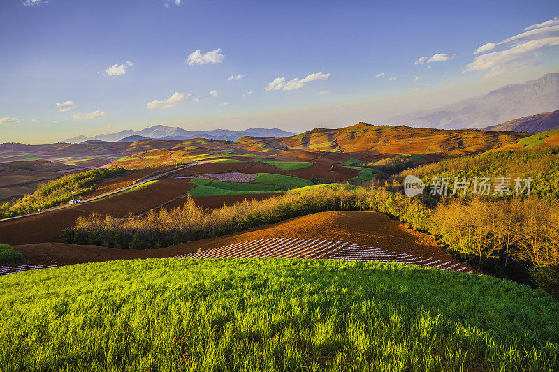 Colorful Earth